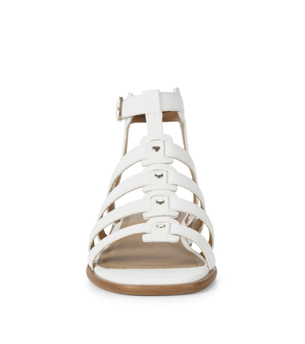 Nathalia Gladiator Sandal