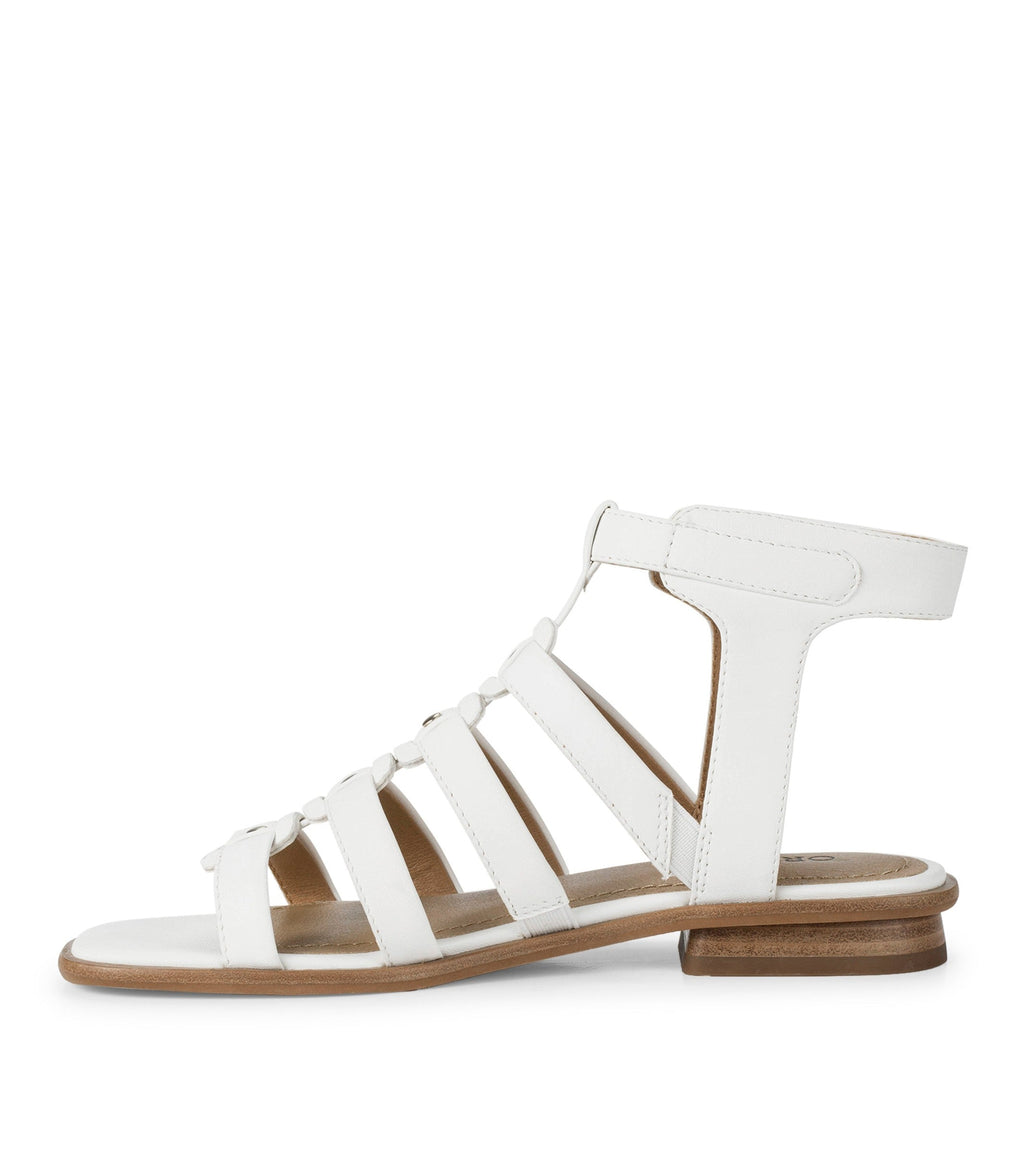 Nathalia Gladiator Sandal